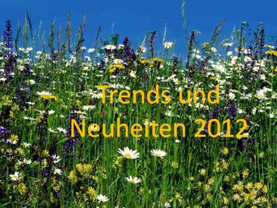 Klick für Vergrößerung Klick für Vergrößerung